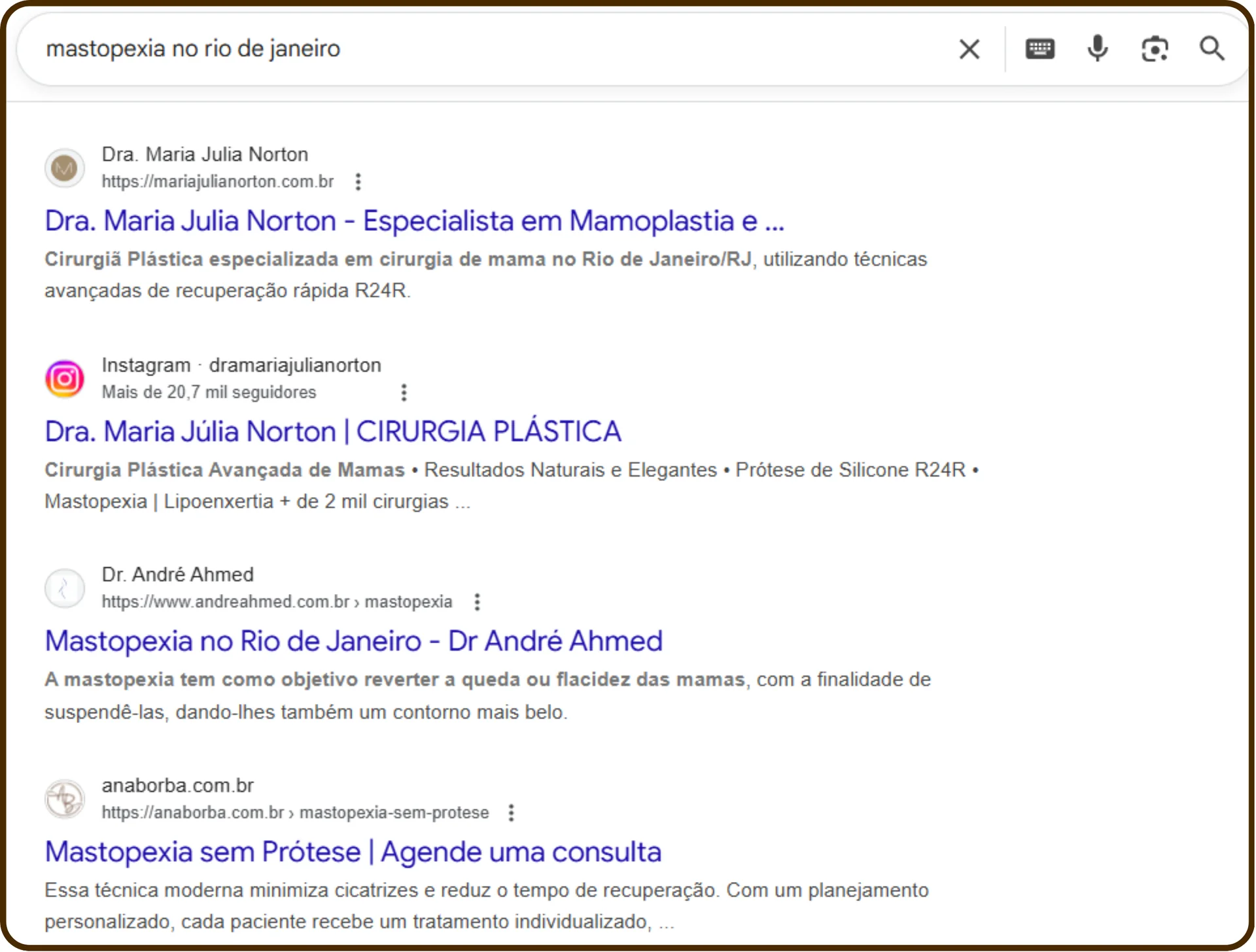 Site e Instagram de Maria Júlia Norton exibidos nos resultados orgânicos para mastopexia no Rio de Janeiro